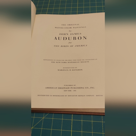 John James Audubon Folio Plate 171/172 Wilson's Phalarope Sandpiper - Picture 3 of 4